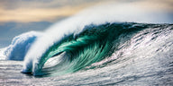 BRUSH STROKES