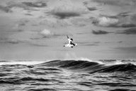 OZZIE WRIGHT - METHOD