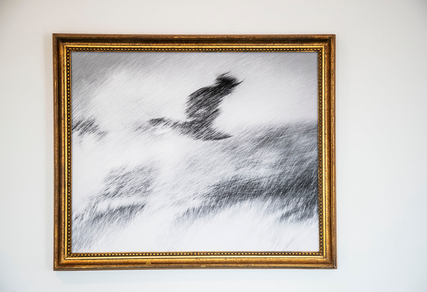 SATAN SHREDS // FRAMED CANVAS