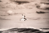 METHODIST // OZZY WRIGHT // SIZE = 110cm x 79cm // Contact john@johnrespondek.com for pickup or delivery details.