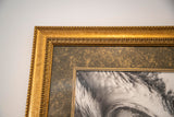 FADED ECHOS // HARRY BRYANT // 2 X FRAMED PRINTS