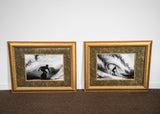 FADED ECHOS // HARRY BRYANT // 2 X FRAMED PRINTS